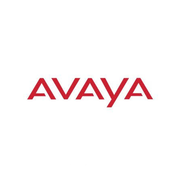 Avaya 700519870 ASP 110 Dell R360 Midrange Server SBC
